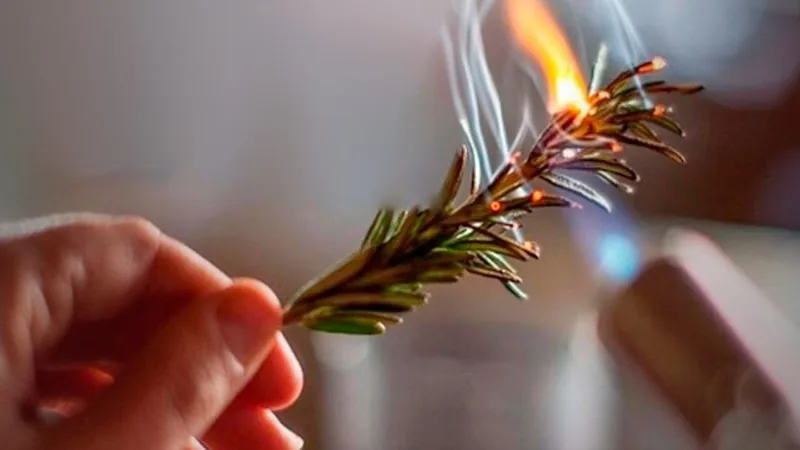 Defumação, ervas e incensos na Formação em Proteção, Limpeza e Cura Energética de Otávio Leal