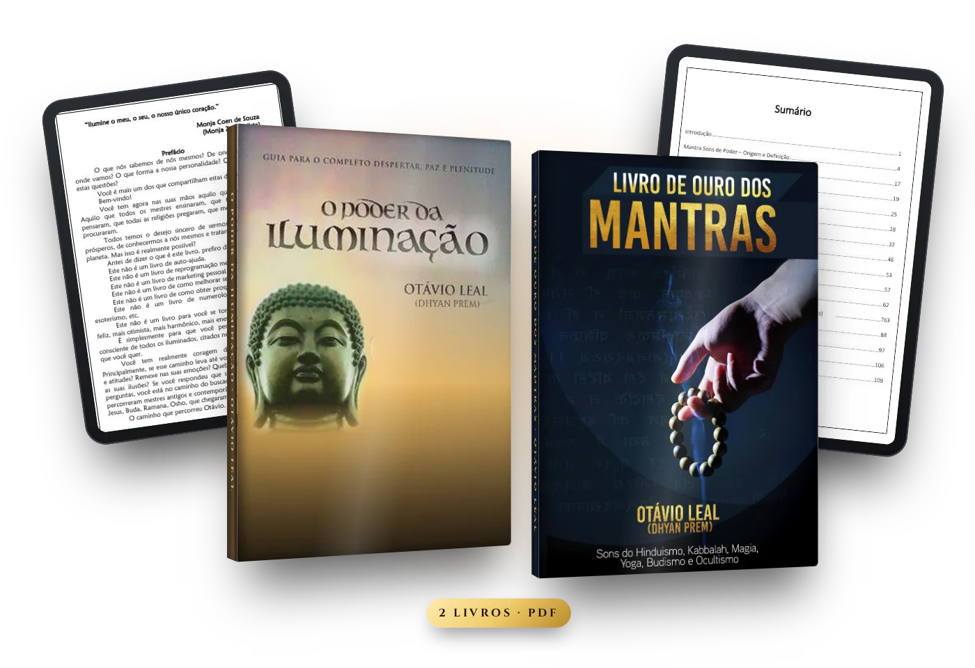 Bônus: livros O Poder da Iluminação e Livro de Ouro dos Mantras, de Otávio Leal (Dhyan Prem), em PDF