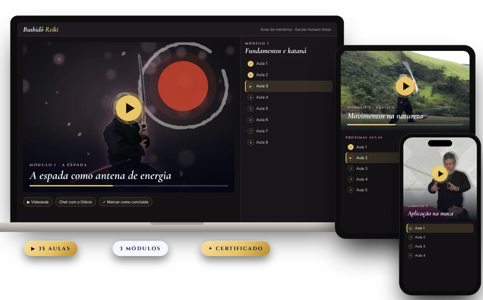 Área de membros do curso Bushidô Reiki no computador, no tablet e no celular