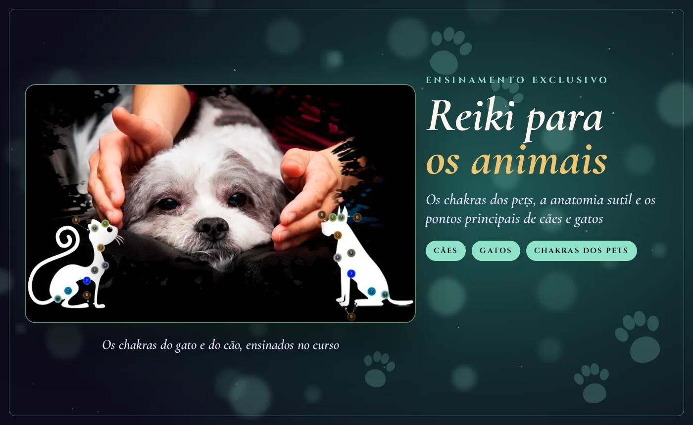 Reiki para os animais: mãos aplicando Reiki em um cachorro, com os chakras de cães e gatos