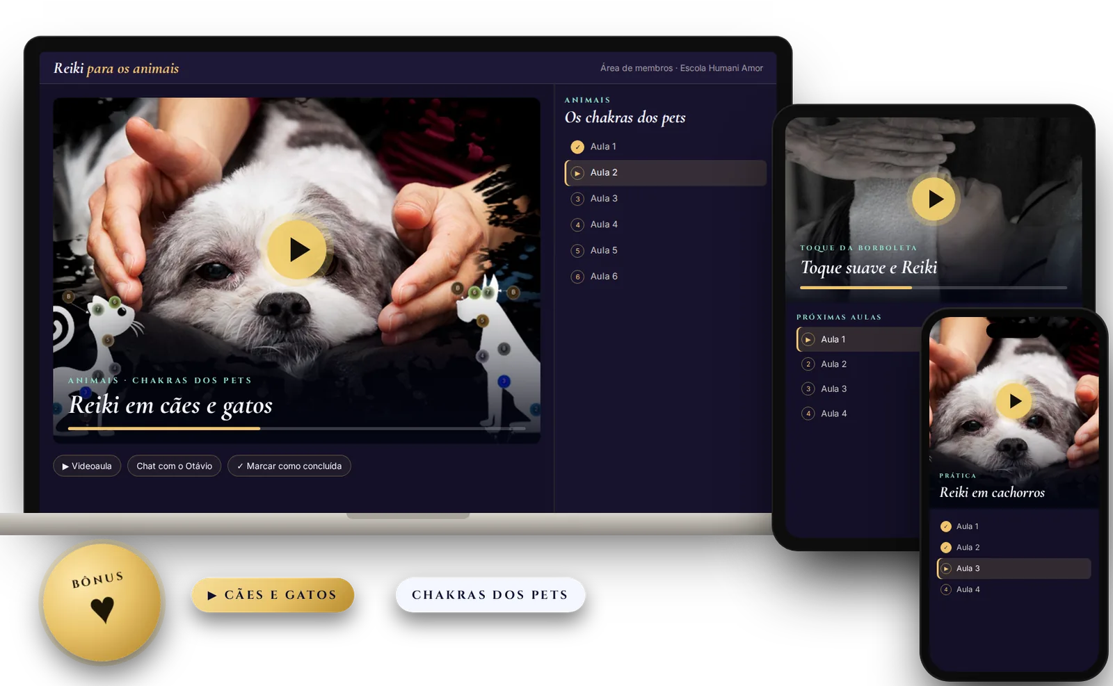 Aulas de Reiki para animais no computador, no tablet e no celular